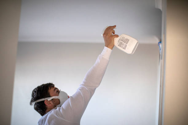 Best Best Mold Removal Companies  in Santa Clara, UT