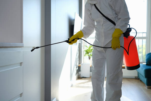 Best Residential Mold Removal  in Santa Clara, UT